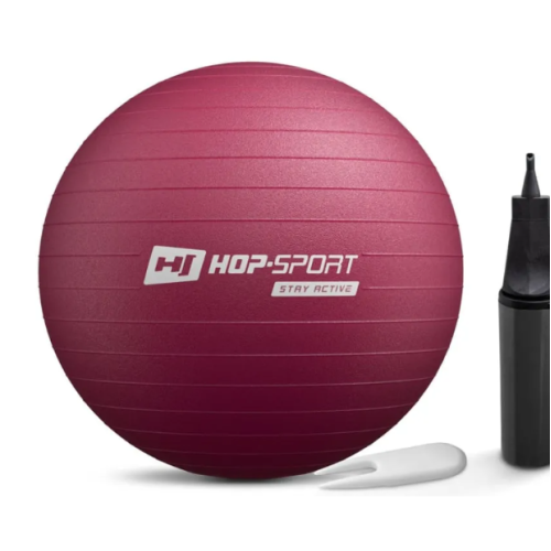 Купити Фітбол  Hop-Sport 45cm HS-R045YB plump  + насос у Києві - фото №1